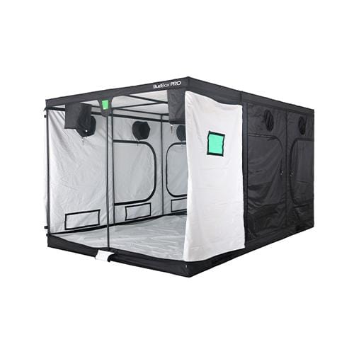 BudBox - PRO TITAN 2 360x240x200cm White - London Grow