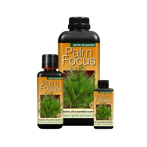 Growth Technology Palm Focus - London Grow