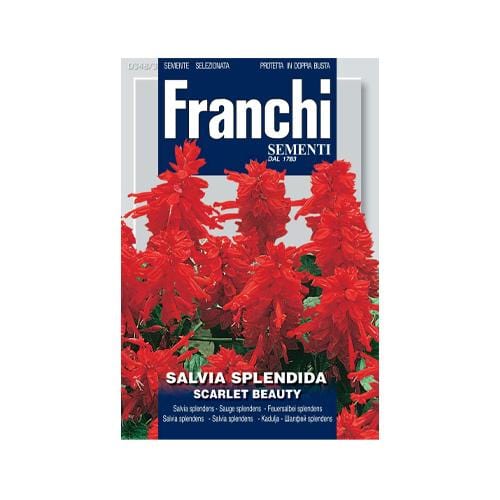 Sage Scarlet Beauty - London Grow