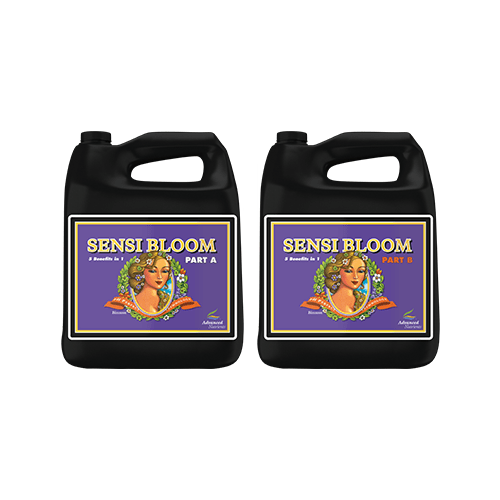 Advanced Nutrients Sensi Bloom A+B 4L - London Grow