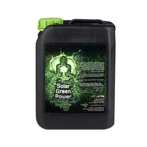 Buddha's Tree Solar Green Power 5L - London Grow
