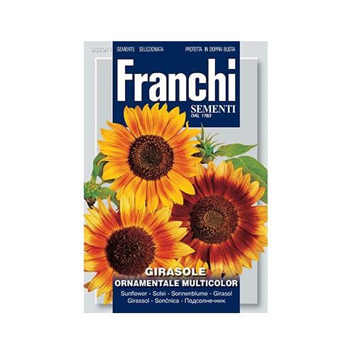 Sunflower Mixed Pack - London Grow