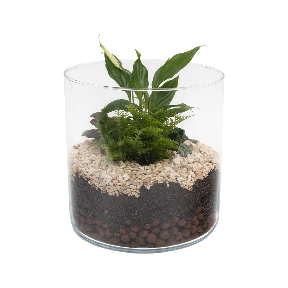 Terrariums