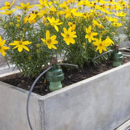 Tropf Blumat Maxi Sensor - London Grow