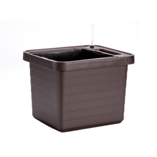 Urbalive Berberis UNO Brown - London Grow