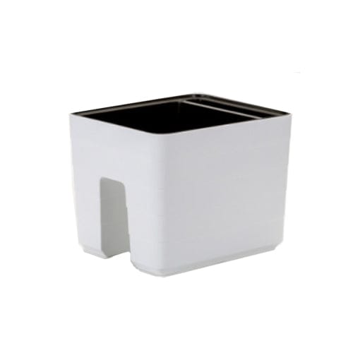 Urbalive Berberis - 30cm - London Grow