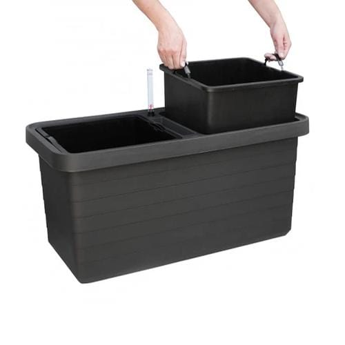 Urbalive Berberis DUO - London Grow