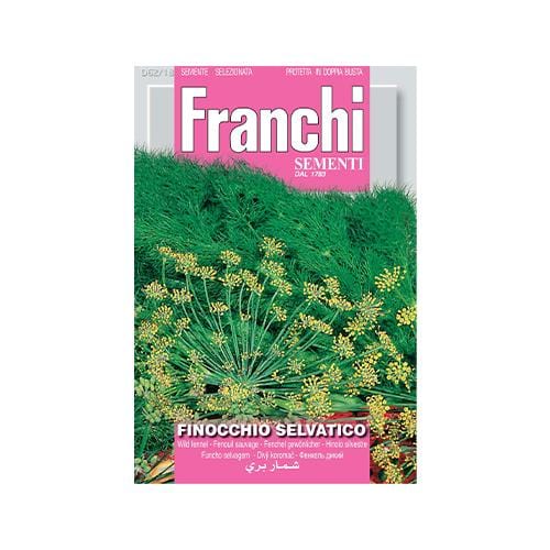 Wild Fennel - London Grow