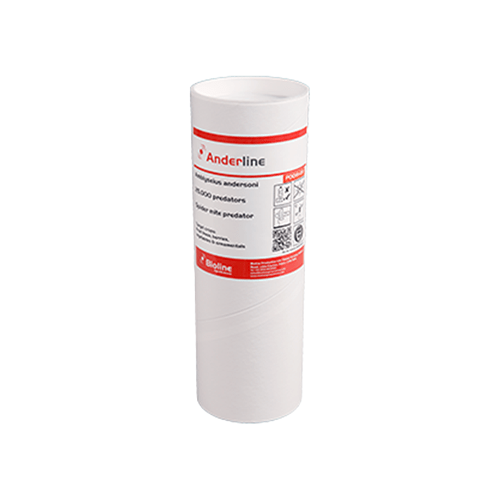 Spider Mite Predators Anderline Tube - 25000 Amblyseius andersoni - London Grow