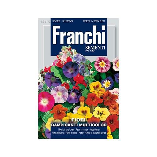 Annual Climbers Mix - London Grow