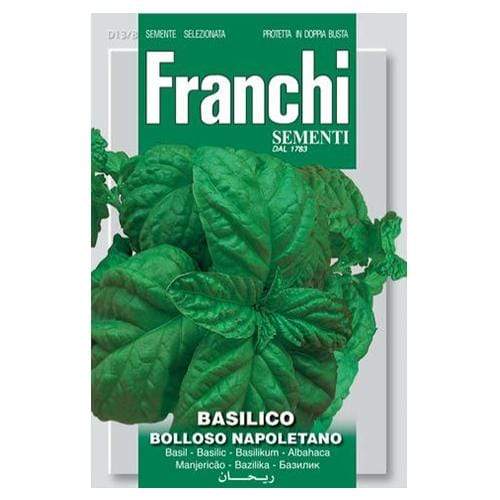 Basil Bolloso Napoletano - London Grow