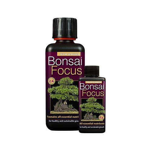 Growth Technology Bonsai Focus - London Grow