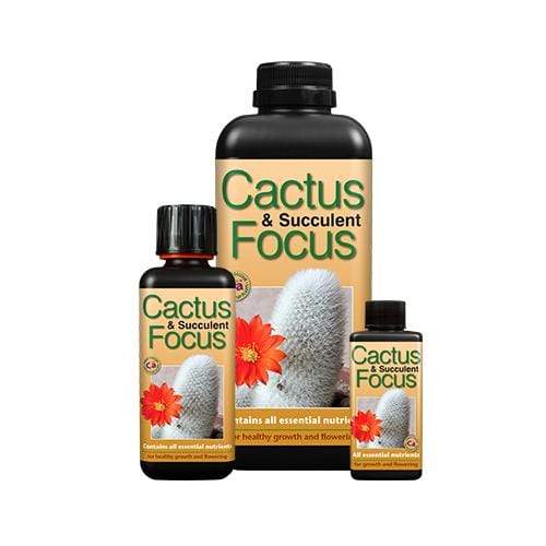 Growth Technology Cactus Focus - London Grow