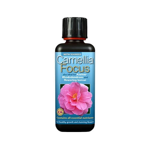 Growth Technology Camellia Focus 300ml - London Grow