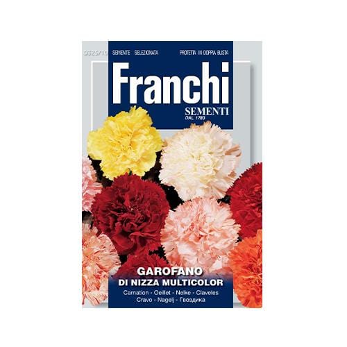 Carnation Di Nizza Garofano - London Grow