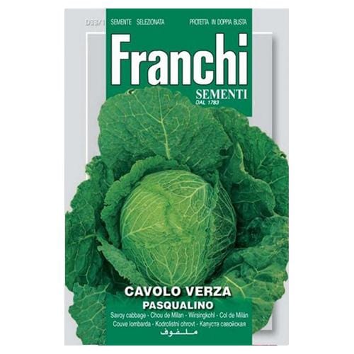 Savoy Cabbage Pasqualino - London Grow