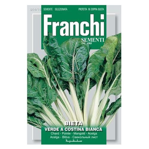 Swiss Chard Costa Bianca - London Grow