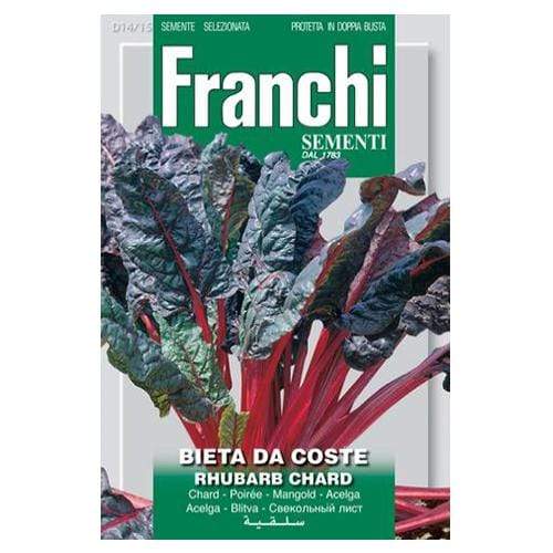 Rhubarb Swiss Chard - London Grow