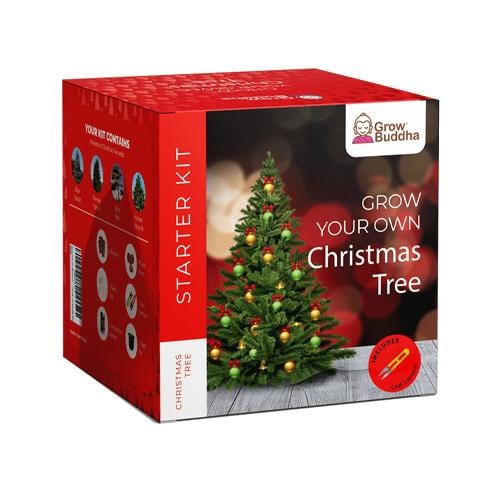 Grow Buddha - Christmas Kit - London Grow