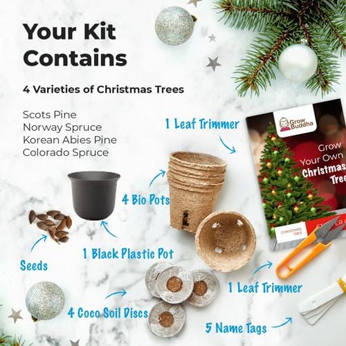 Grow Buddha - Christmas Kit - London Grow