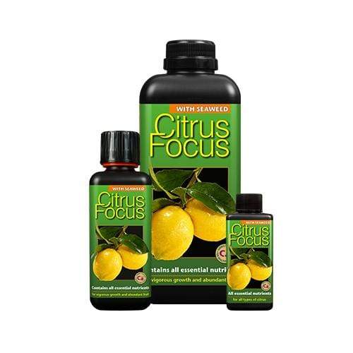 Growth Technology Citrus Focus - London Grow