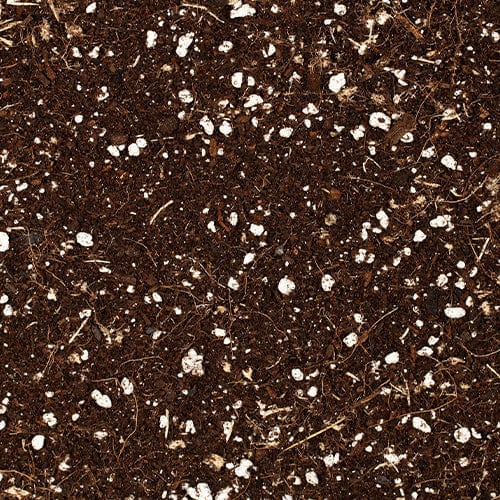 Growth Technology - Citrus Focus Repotting Mix 8L - London Grow