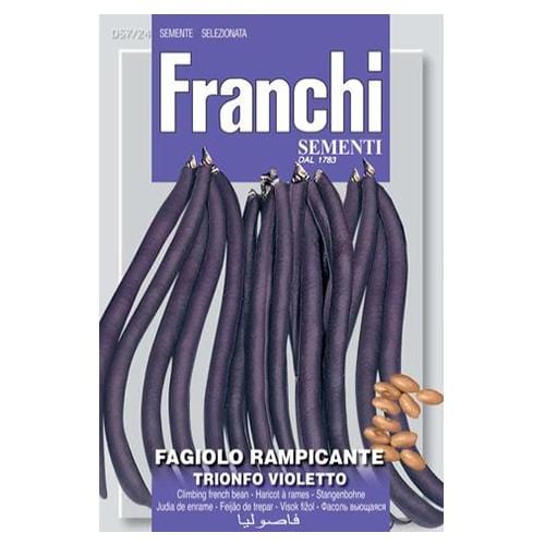 Trionfo Violetto Bean - London Grow