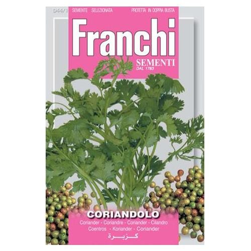 Coriander - Coriandolo - London Grow