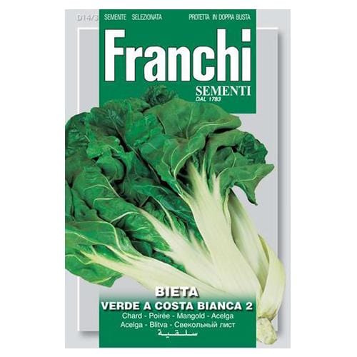 Endive Pancalieri Costa Bianca - London Grow