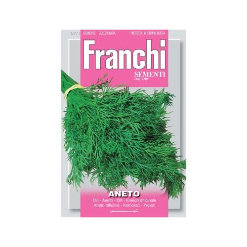 Dill - London Grow