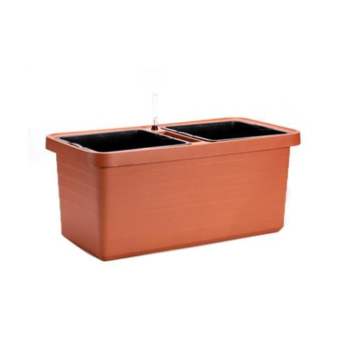 Urbalive Berberis DUO Orange - London Grow