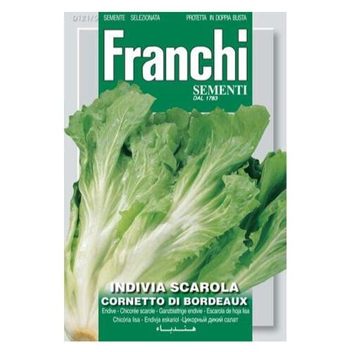 Endive Cornetto di Bordeaux - London Grow