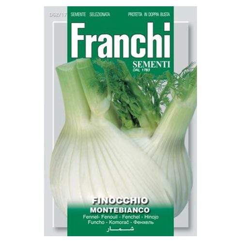 Fennel Montebianco - London Grow