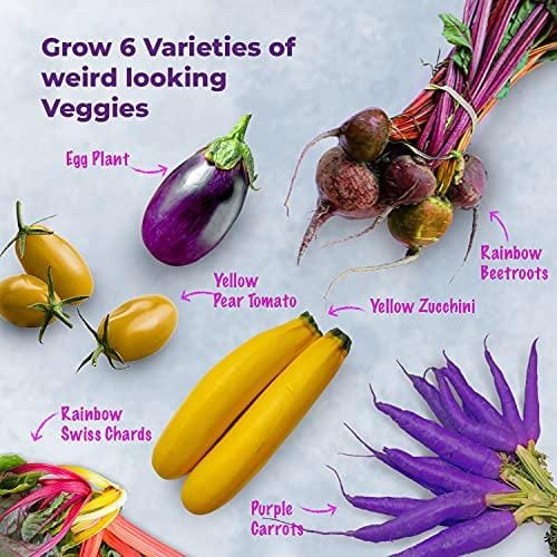 Grow Buddha - Funny Veg Starter Kit - London Grow