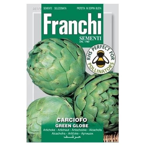 Artichoke Green Globe - London Grow