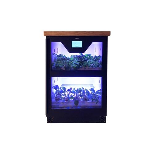 Tomato+ Horto2 Automatic Indoor Greenhouse - London Grow