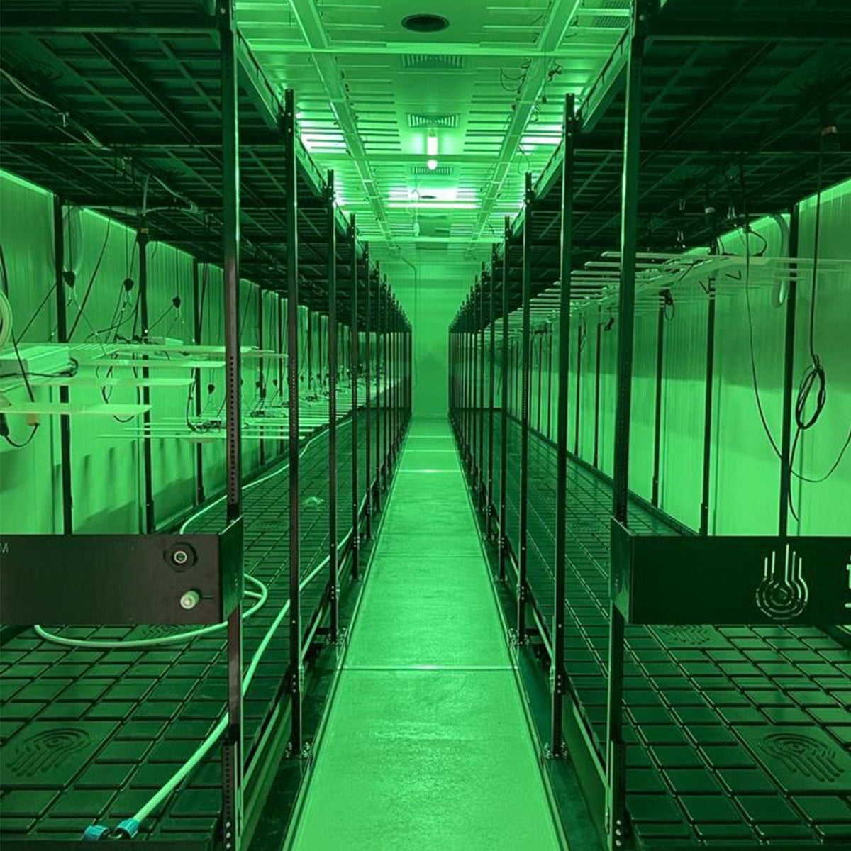 Idrolab - Idrorack with Trays - London Grow