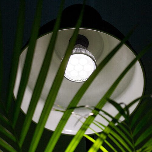 LED Grow Light 4000K E27 - London Grow