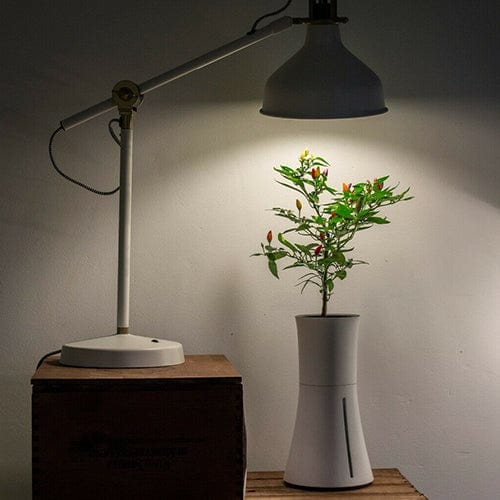 LED Grow Light 4000K E27 - London Grow