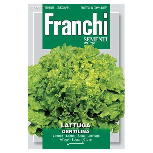 Lettuce Gentillina - London Grow