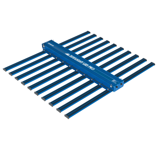 Maxibright Daylight LED