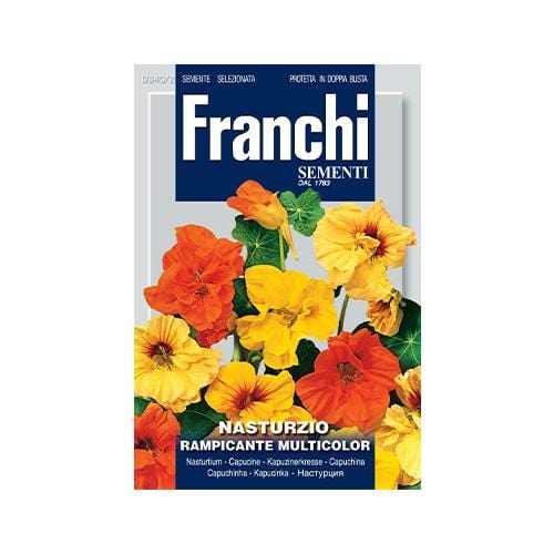 Nasturtium Climbers - London Grow