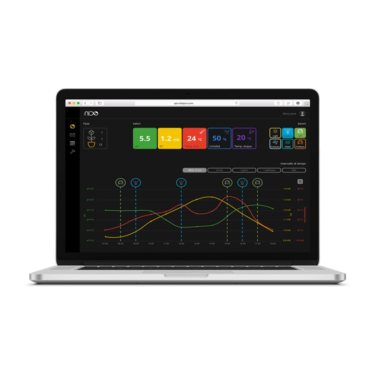 Nido One - London Grow