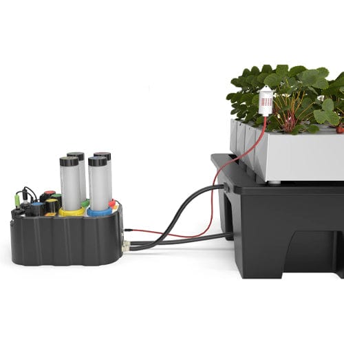 Nido One V2 - London Grow