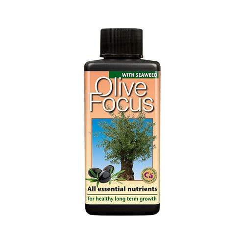 Growth Technology Olive Focus 100ml - London Grow