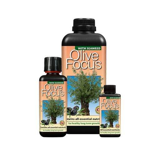 Growth Technology Olive Focus - London Grow