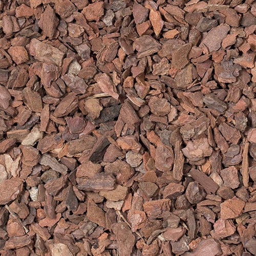 Growth Technology - Orchid Focus Repotting Mix - London Grow