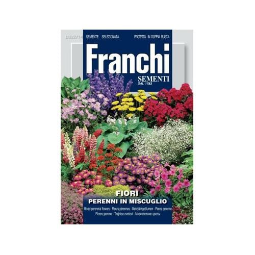 Perennial Flower Mix - London Grow