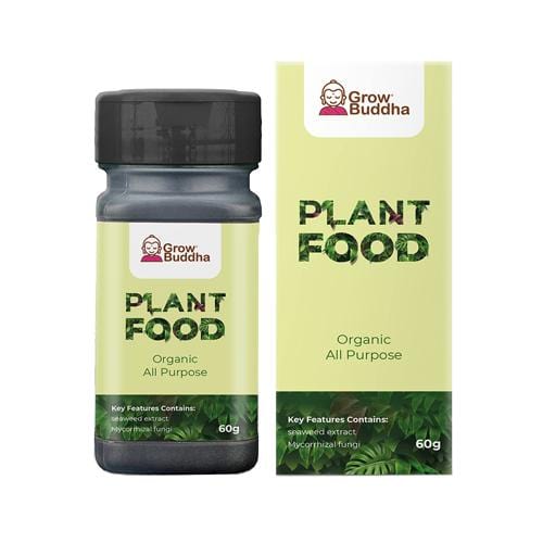 Grow Buddha - Organic House Plant Food - London Grow