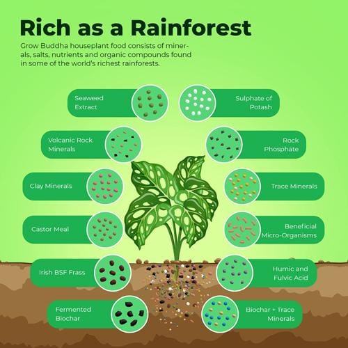 Grow Buddha - Organic House Plant Food - London Grow